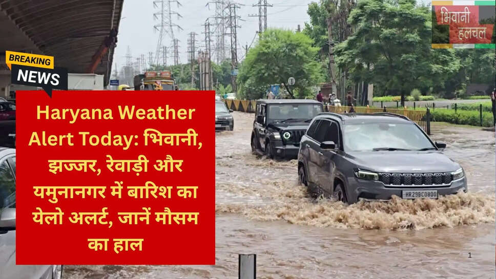 रोहतक मौसम समाचार