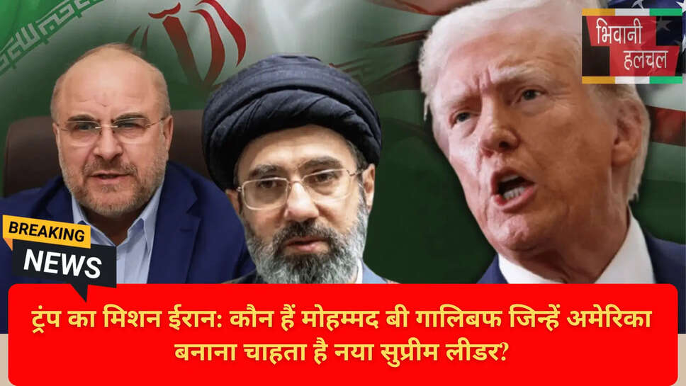 Axios White House Report