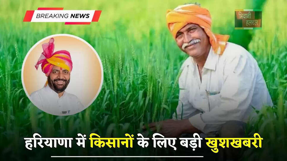 हरियाणा में किसानों के लिए बड़ी खुशखबरी, इन 17 जिलों के लिए जारी हुई मुआवजा राशि&nbsp;