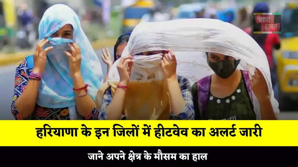 हरियाणा के इन जिलों में हीटवेव का अलर्ट जारी, जाने अपने क्षेत्र के मौसम का हाल &nbsp;
