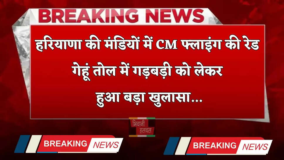 Haryana: हरियाणा की इन मंडियों में CM फ्लाइंग की रेड, गेहूं तोल में गड़बड़ी को लेकर हुआ बड़ा खुलासा...