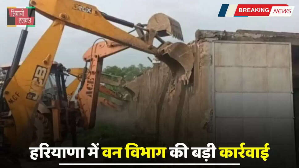 Haryana: हरियाणा में वन विभाग की बड़ी कार्रवाई, 261 एकड़ जमीन कराई खाली&nbsp;