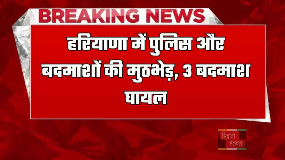 हरियाणा में पुलिस और बदमाशों की मुठभेड़, 3 बदमाश घायल