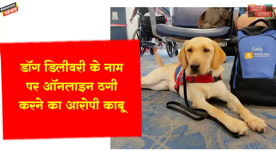 डॉग डिलीवरी के नाम पर ₹ 80,000 की ऑनलाइन ठगी,&nbsp;आरोपी गिरफ्तार