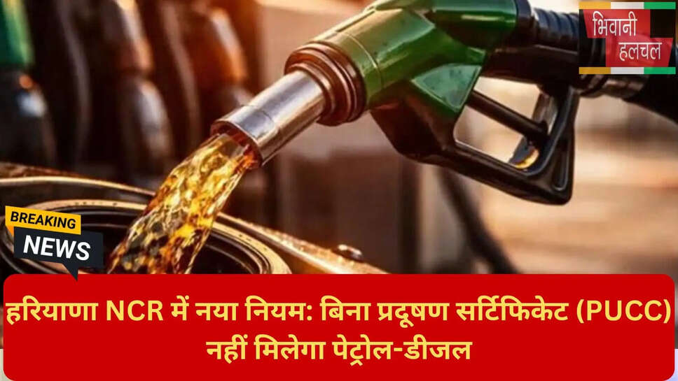 मुख्य सचिव हरियाणा निर्देश