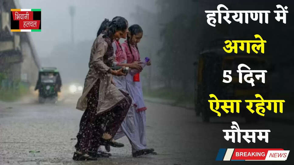 Haryana: हरियाणा में अगले 5 दिन ऐसा रहेगा मौसम, देखें ताजा अपडेट&nbsp;
