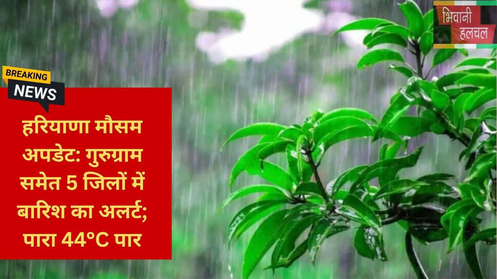 हरियाणा मौसम अपडेट