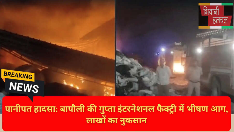 Fire in Bapoli Industrial Area