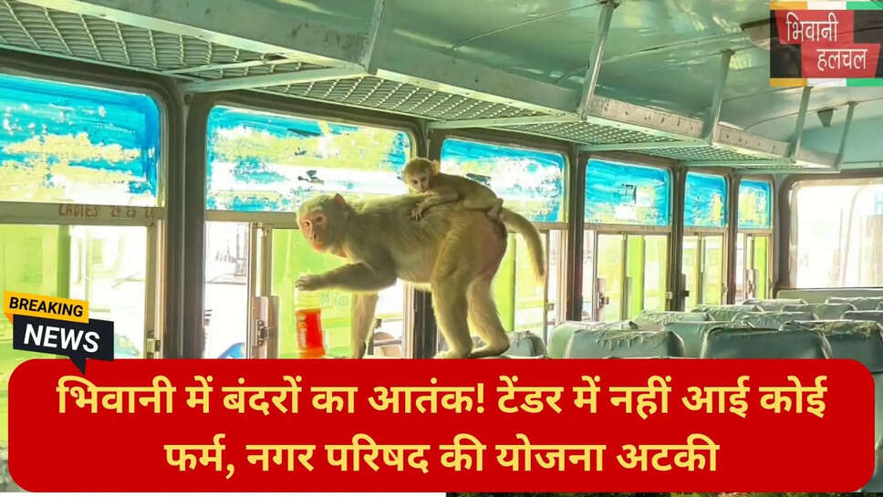 बंदर काटने का इलाज भिवानी