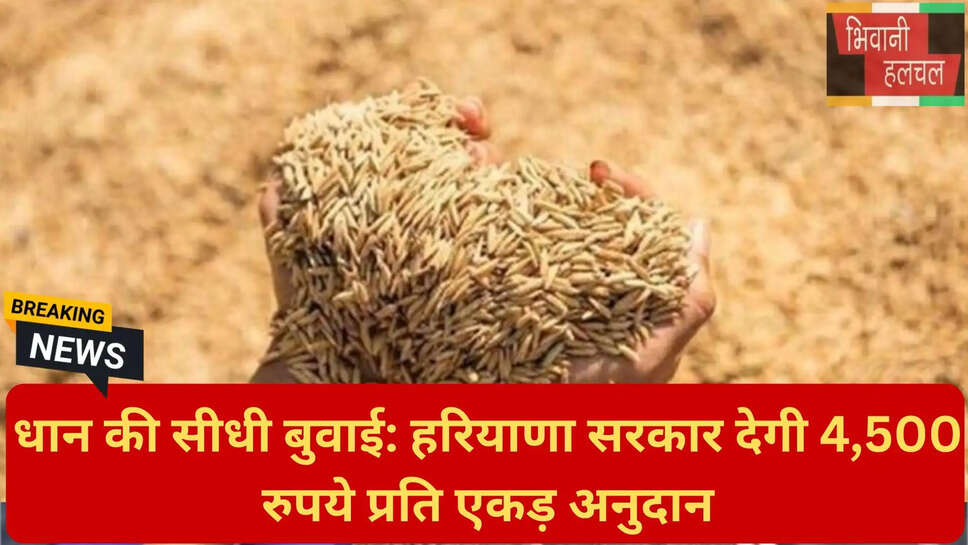 धान की खेती में पानी की बचत,