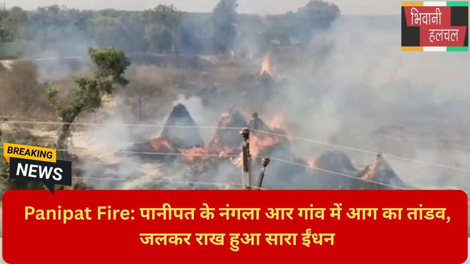 पानीपत लोकल न्यूज़ 2026