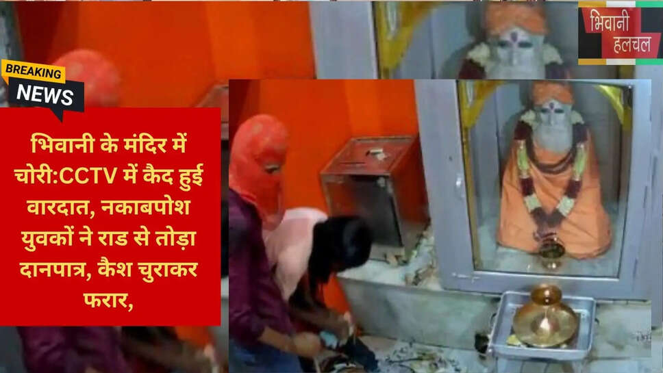 हरियाणा क्राइम न्यूज़