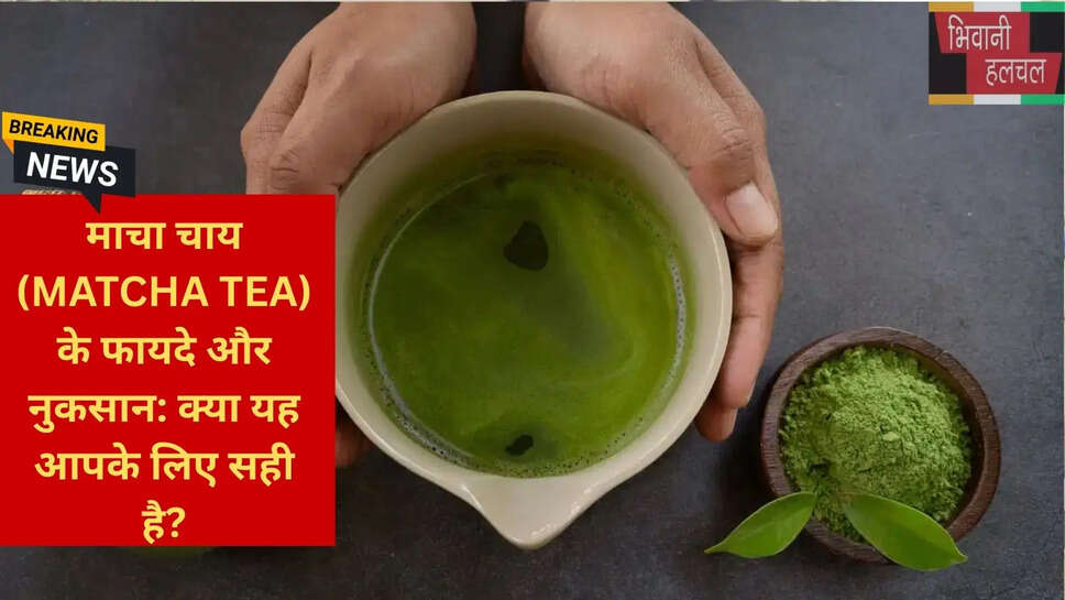 एनीमिया में माचा चाय