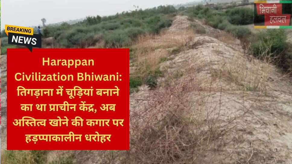 मिताथल और तिगड़ाना टीला