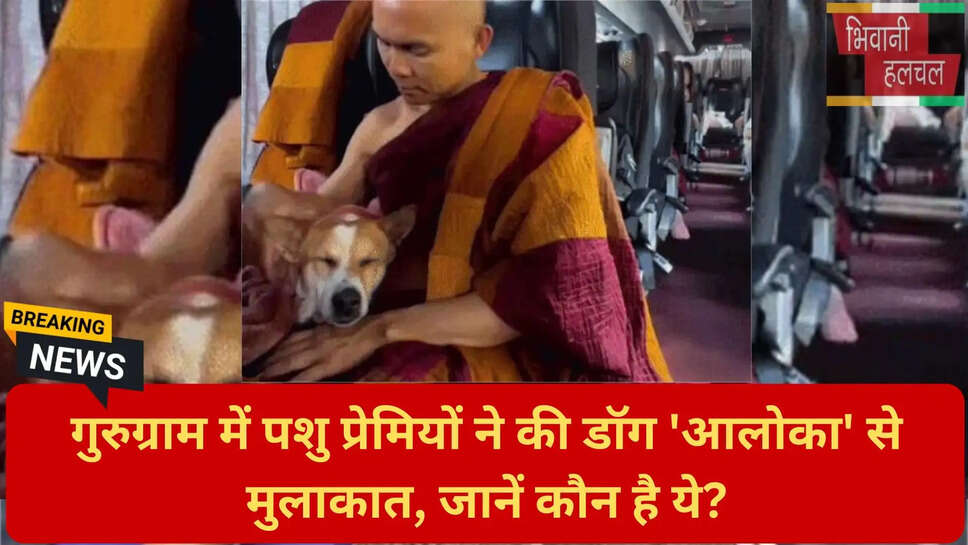 प्रसिद्ध डॉग आलोका
