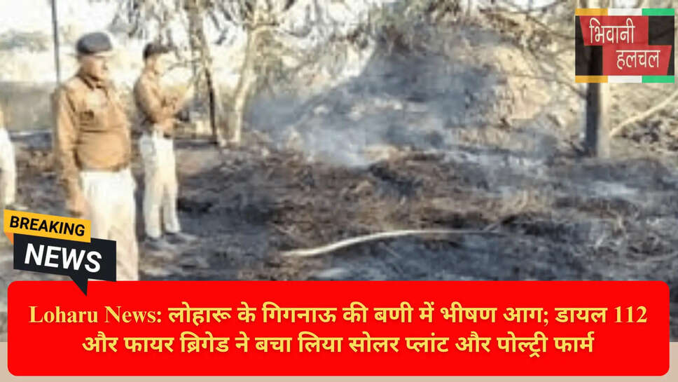 Haryana Forest Fire Gignow