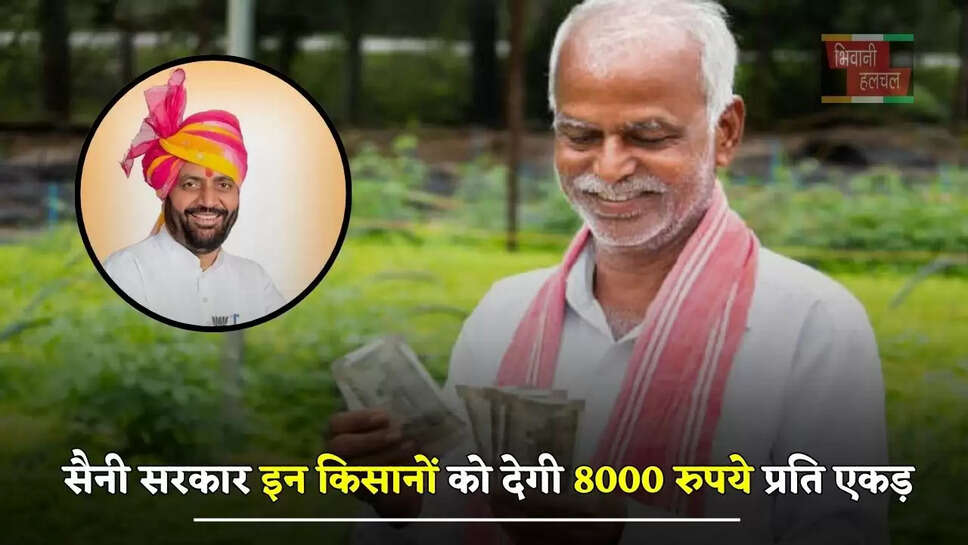  हरियाणा में सैनी सरकार इन किसानों को देगी 8000 रुपये प्रति एकड़, ऐसे मिलेगा लाभ&nbsp;