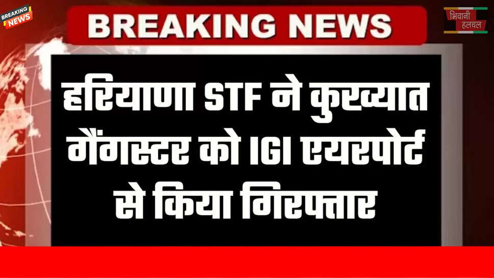 कुख्यात गैंगस्टर अमन भैंसवाल गिरफ्तार&nbsp;