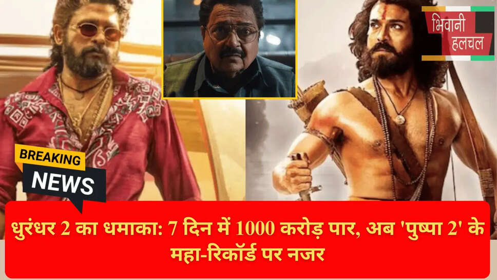 धुरंधर द रिवेंज नेट कलेक्शन