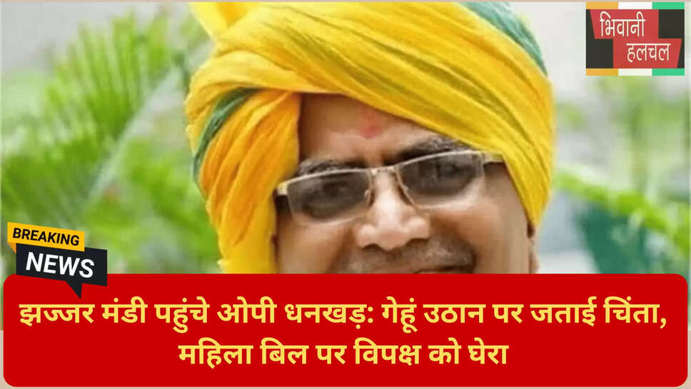 झज्जर मंडी आढ़ती समस्या