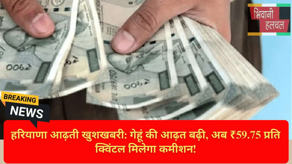 Haryana Grain Market Update