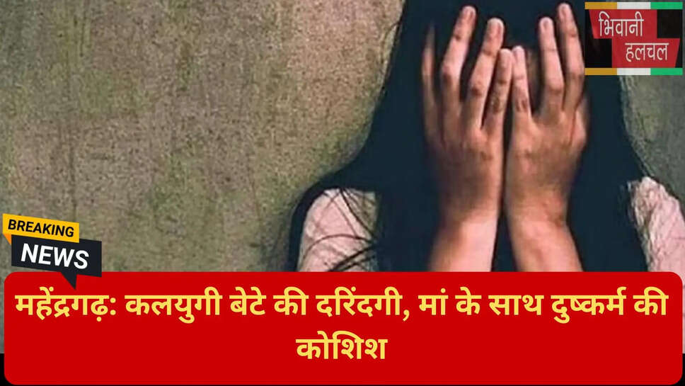 महेंद्रगढ़ थाना सदर