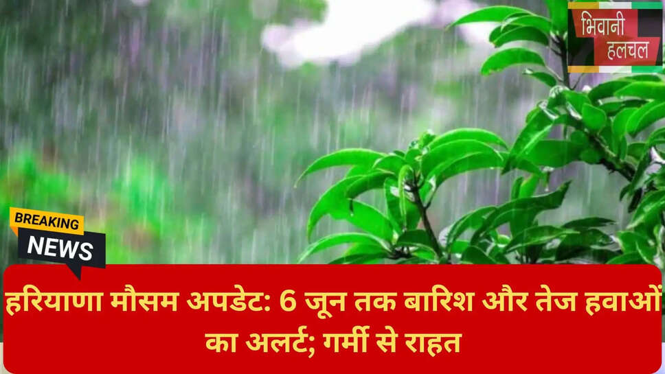 हरियाणा मानसून रिकॉर्ड