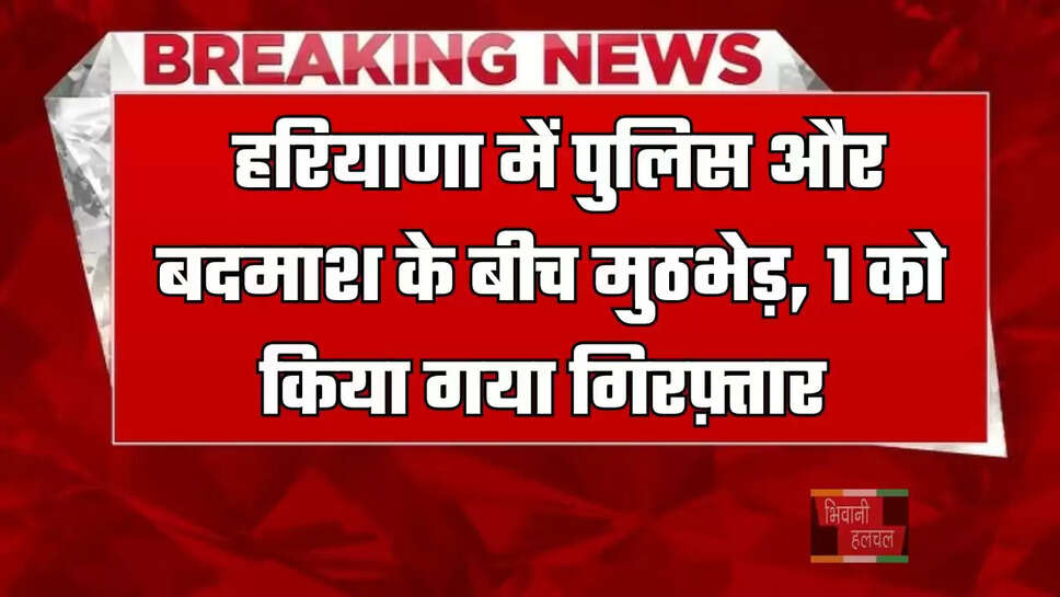  हरियाणा में पुलिस और बदमाश के बीच मुठभेड़, 1 को किया गया गिरफ़्तार&nbsp;