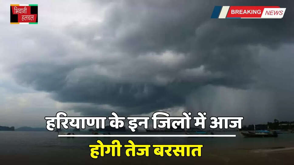 Haryana Weather: हरियाणा के इन जिलों में होगी तेज बरसात, मानसून फिर हुआ सक्रिय