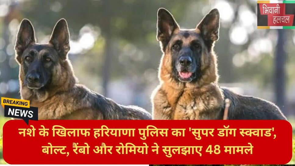 नशा तस्करी हरियाणा