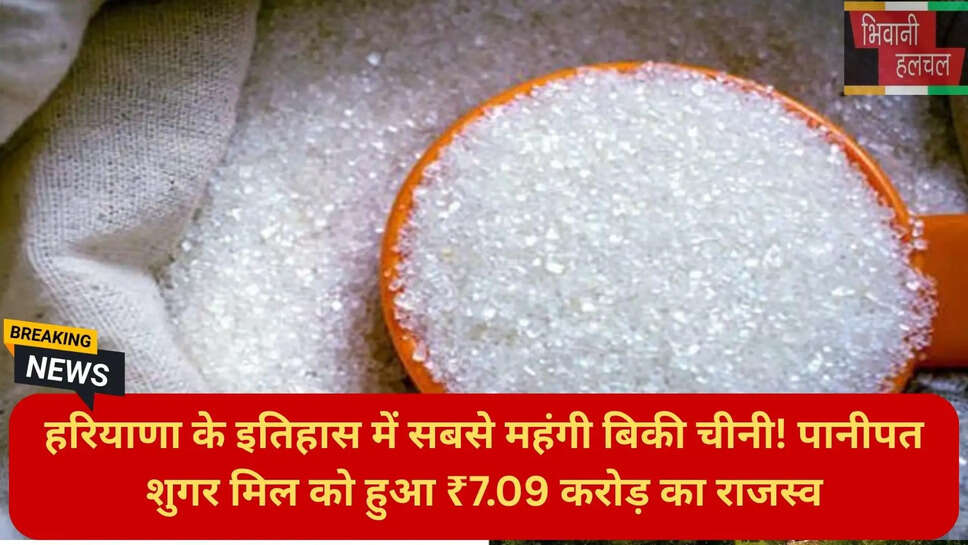 पानीपत समाचार