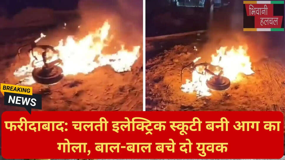 फरीदाबाद न्यूज़