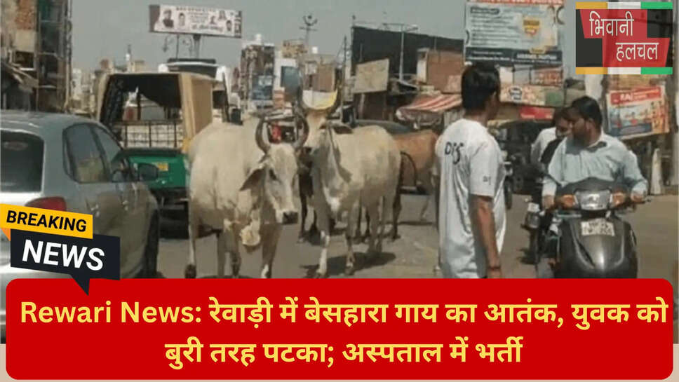 आवारा सांड का हमला