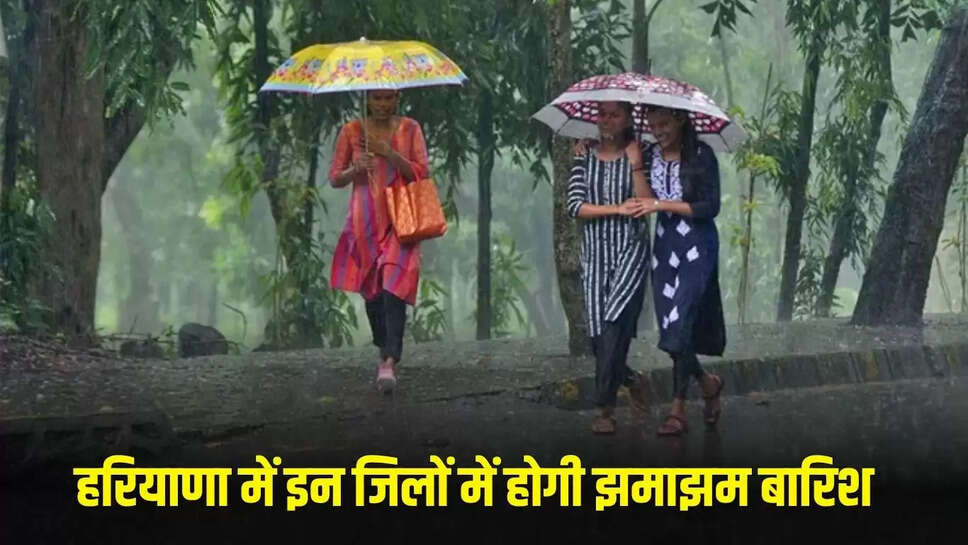 haryana weather update