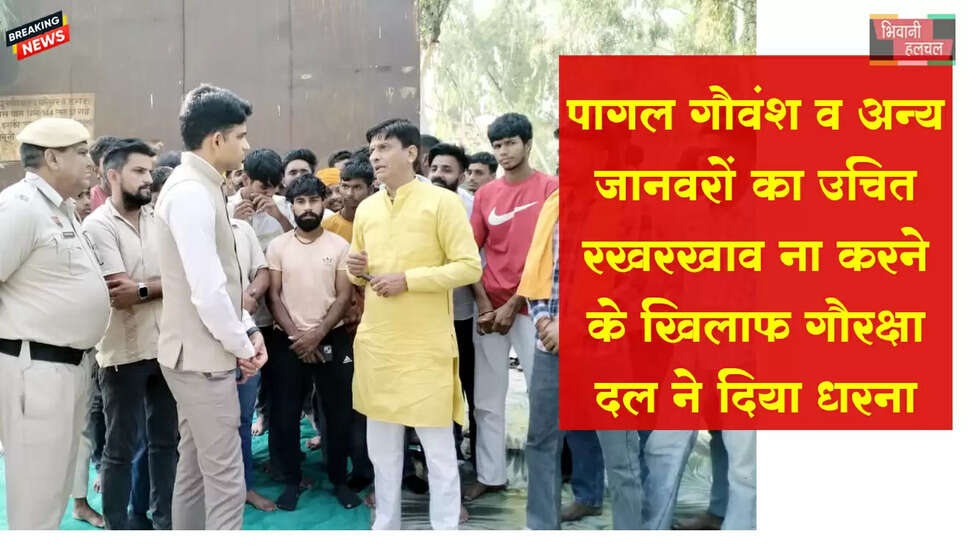 पागल गौवंश व अन्य जानवरों का उचित रखरखाव ना करने के खिलाफ गौरक्षा दल भिवानी ने दिया धरना