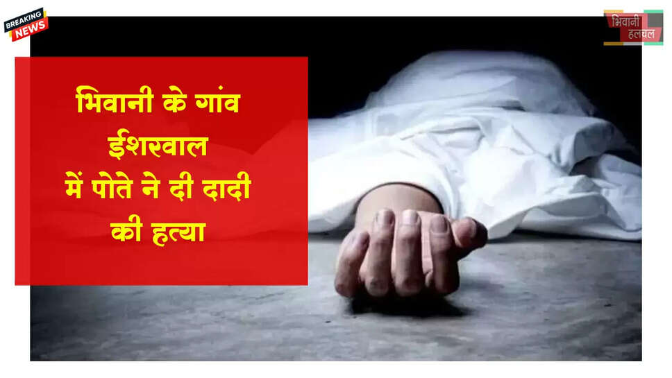 भिवानी में दादी की पोते ने की हत्या