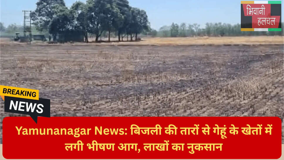 यमुनानगर फायर ब्रिगेड