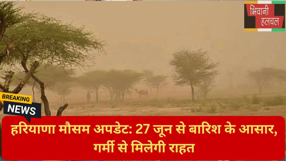 रोहतक तापमान