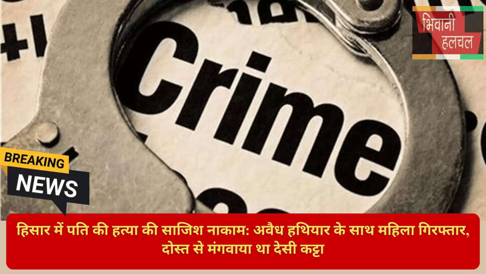 Hisar Crime News