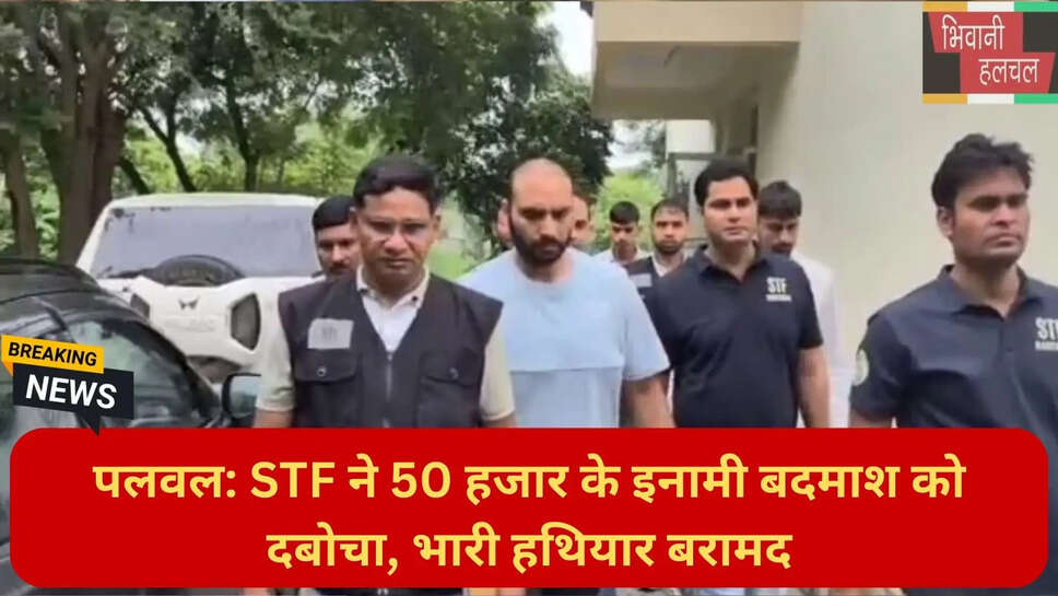 STF DSP Preetpal Singh news