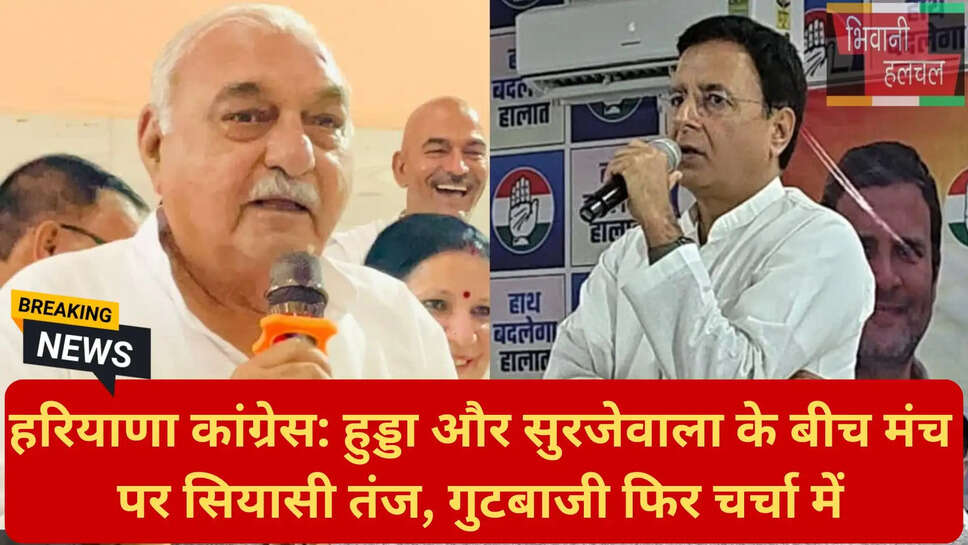 दीपेंद्र हुड्डा वोट प्रतिशत