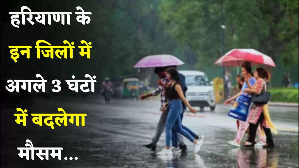 Haryana Rain Alert: हरियाणा के इन जिलों में बारिश का अलर्ट जारी, अगले 3 घंटों में बदलेगा मौसम&nbsp;