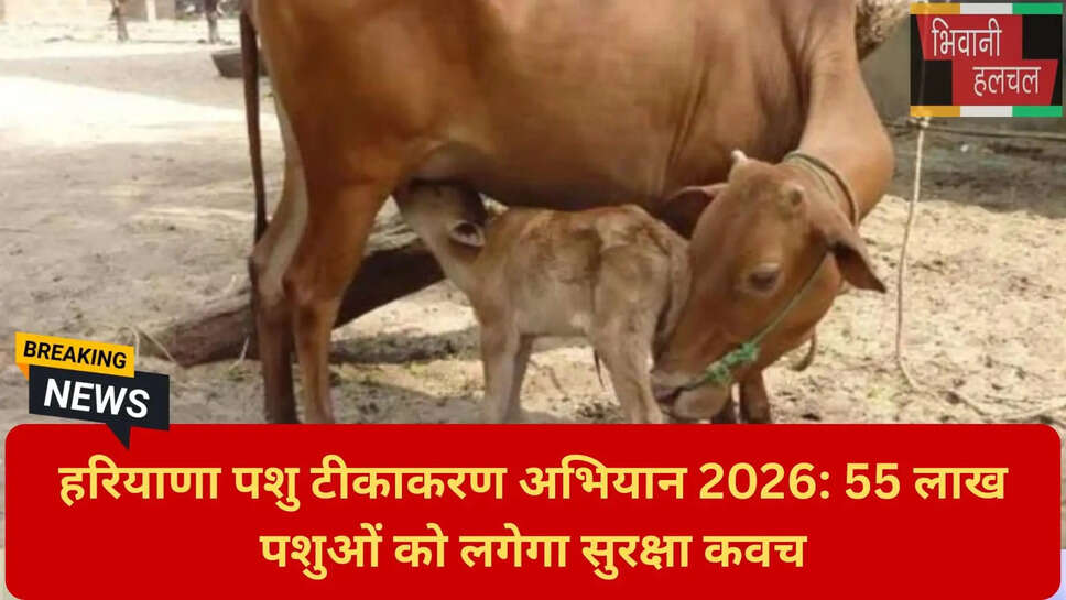 धर्मबीर मिर्जापुर चेयरमैन