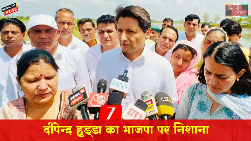 दीपेंद्र हुड्डा का बीजेपी पर निशाना&nbsp;