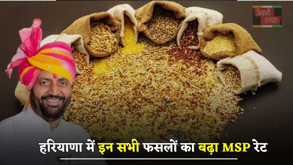  हरियाणा में इन सभी फसलों का बढ़ा MSP रेट, देखें नए दाम ?