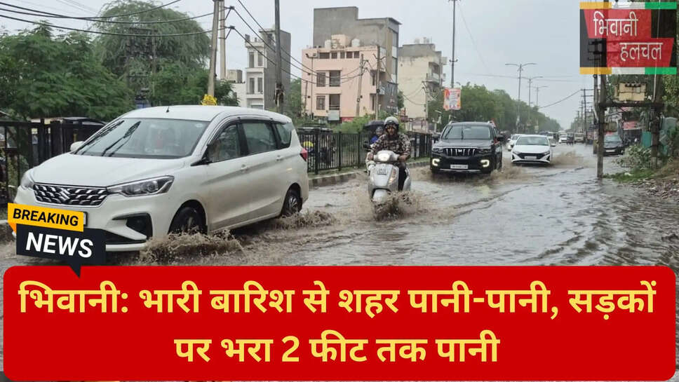 बारिश से डूबे निचले इलाके