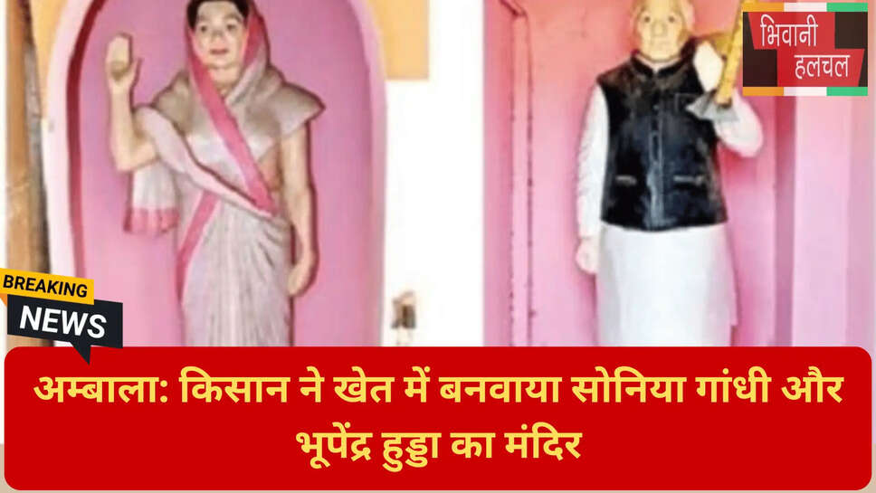 अम्बाला के दानिपुर गांव की खबर