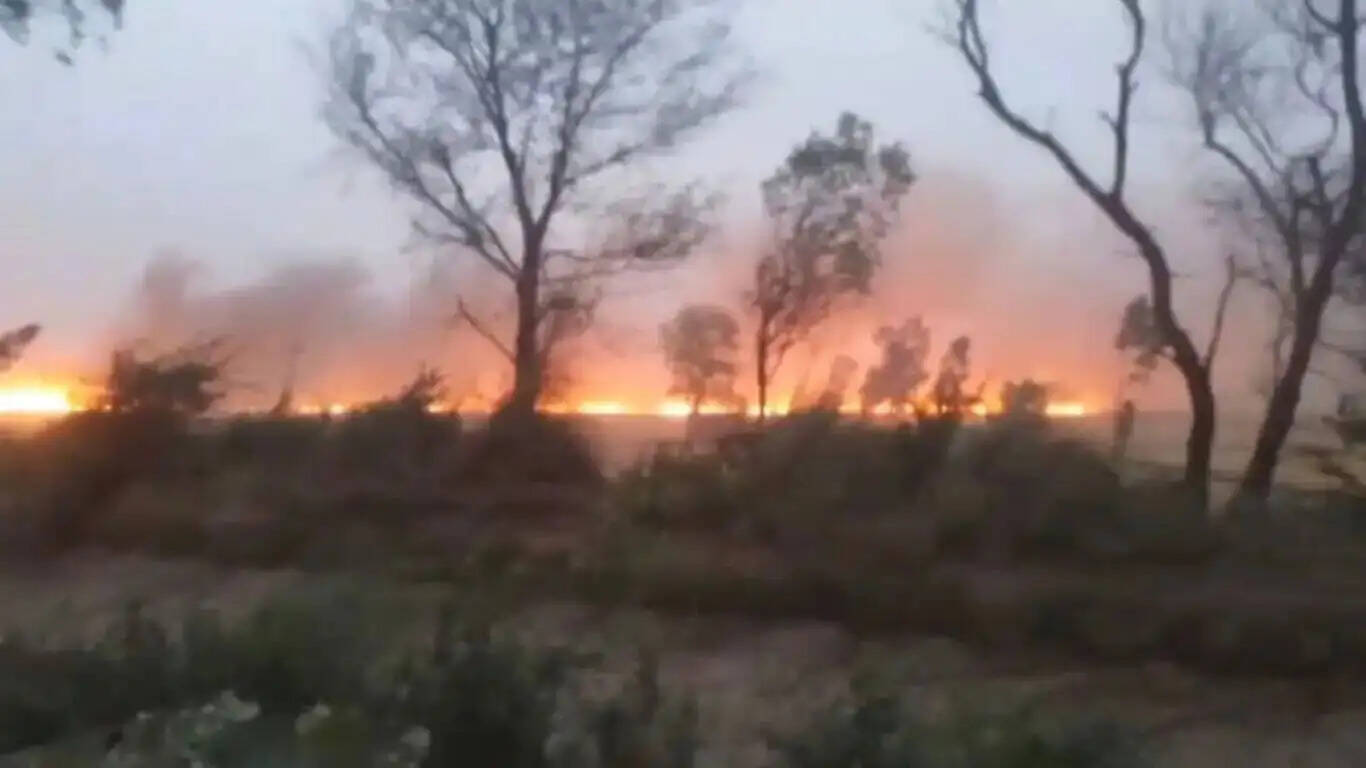 Sirsa News: हरियाणा में सिरसा जिला के क्षेत्र के खेतों में लगी आग, 250 एकड़ से ज्यादा फसल हुई राख