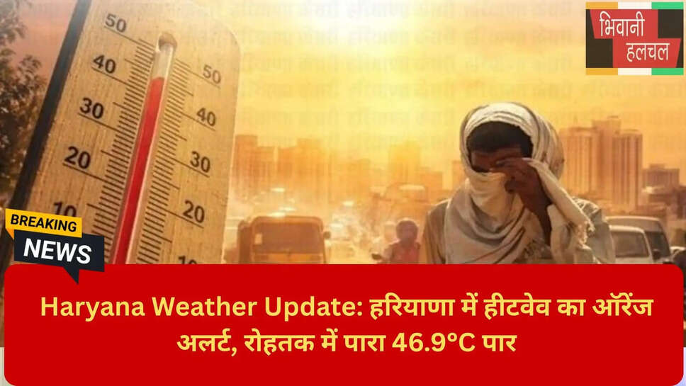 मौसम विभाग अलर्ट हरियाणा