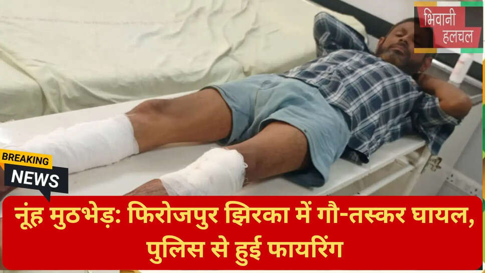 अवैध हथियार बरामद नूंह
